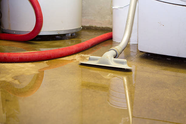 Reliable Hereford, TX Water damage restoration Solutions