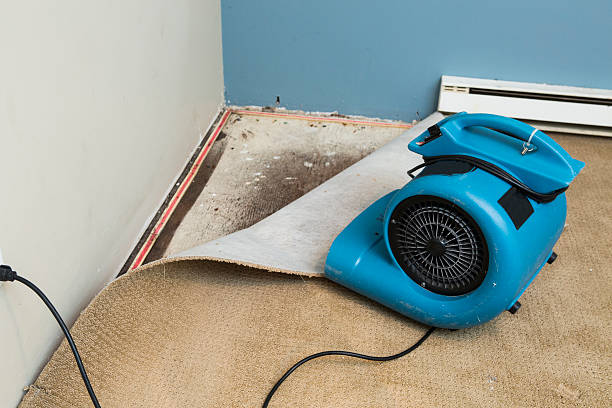 Best Flooded house restoration  in Hereford, TX